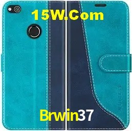 Experiência VIP Brwin37